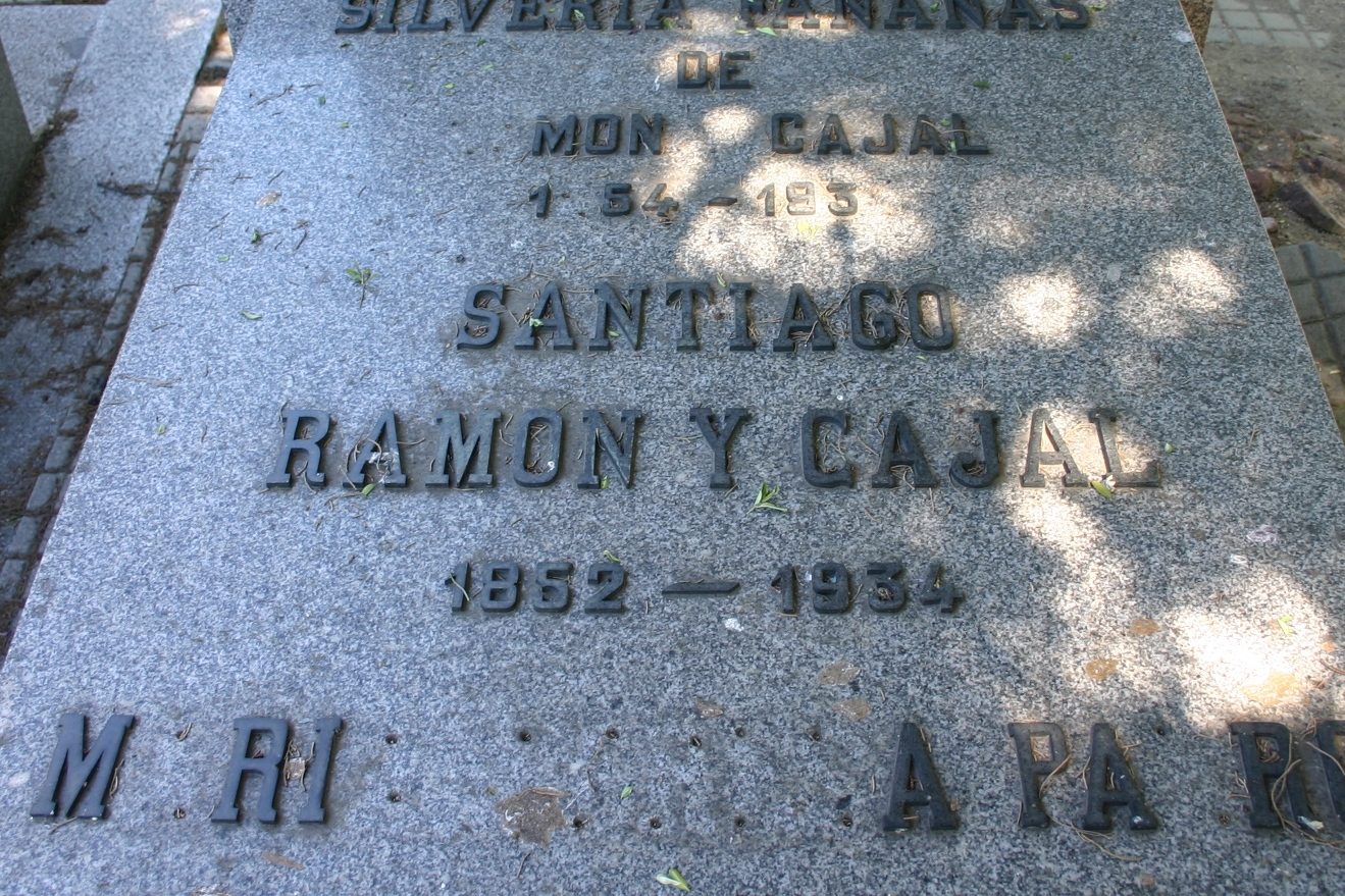 Santiago Ramon y Cajal's tomb, Madrid - 04.JPG